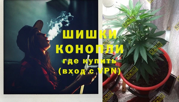 дмт Горняк